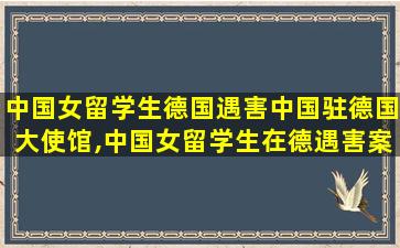 中国女留学生德国遇害中国驻德国大使馆,中国女留学生在德遇害案一审宣判 男主犯终